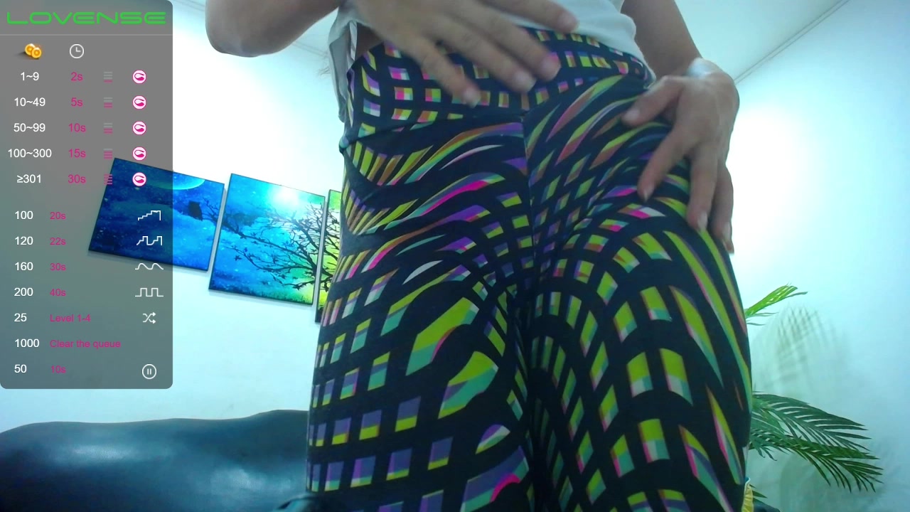 Model - Meel__Ruiz anal