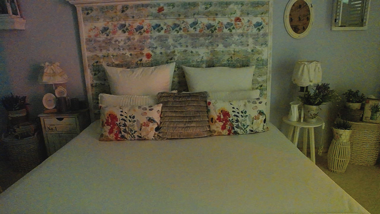 Model - Diana Smith toys