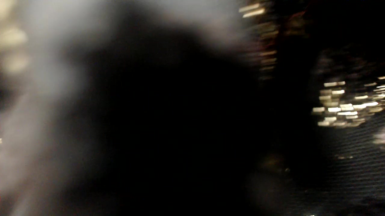 Model - HairySilviaFootjob milf