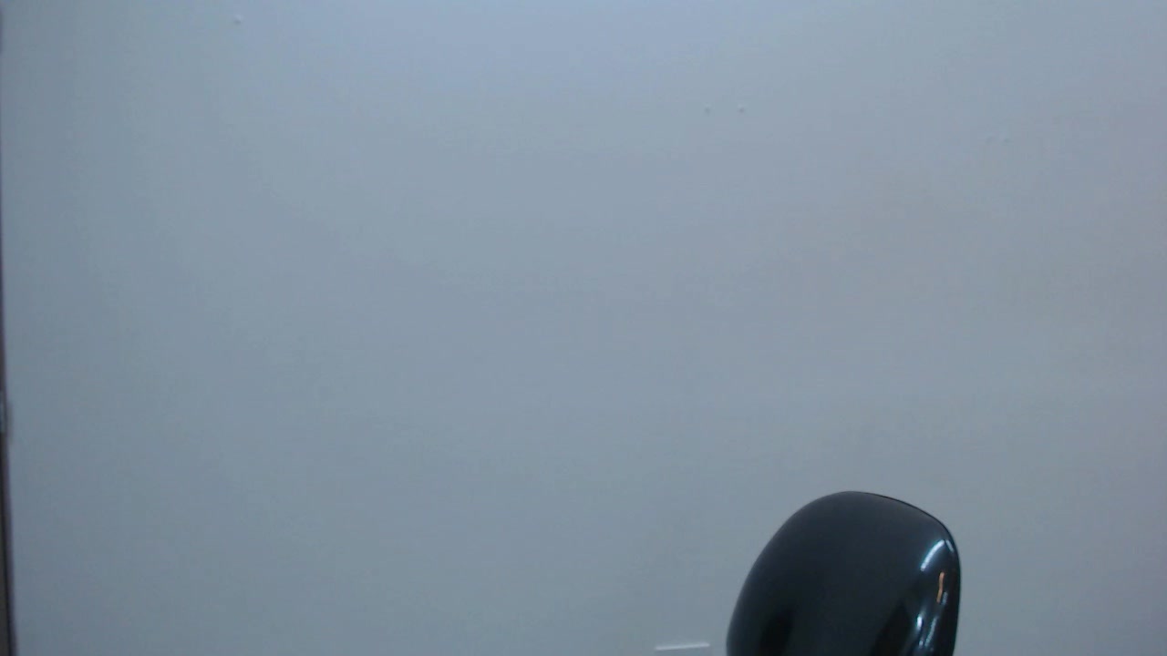 Model - ShaylaRobert anal